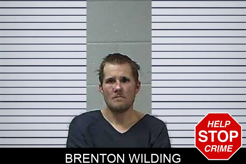 Brenton Wilding mugshot