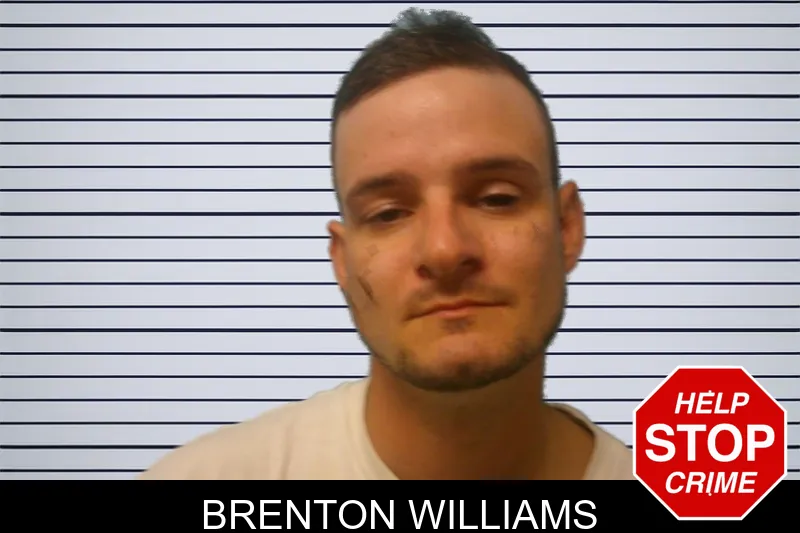 Brenton Williams mugshot – Franklin County , Georgia Brenton Williams mugshot