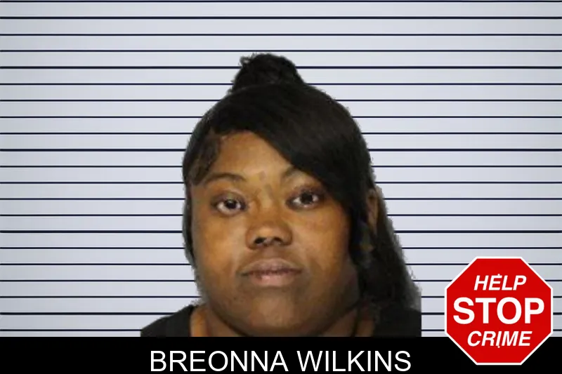 Breonna Wilkins mugshot