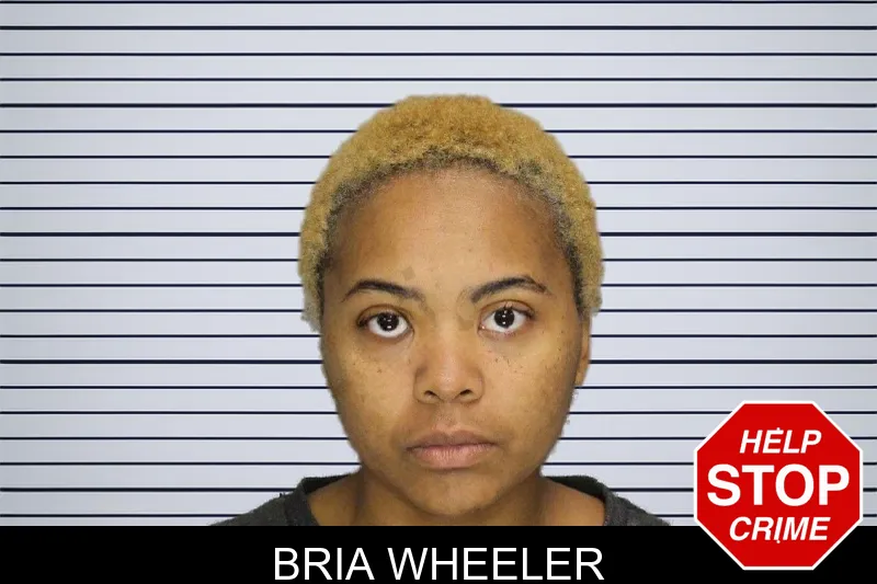 Bria Wheeler mugshot