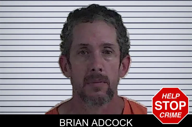 Brian Adcock mugshot