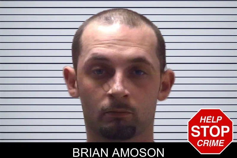 Brian Amoson mugshot