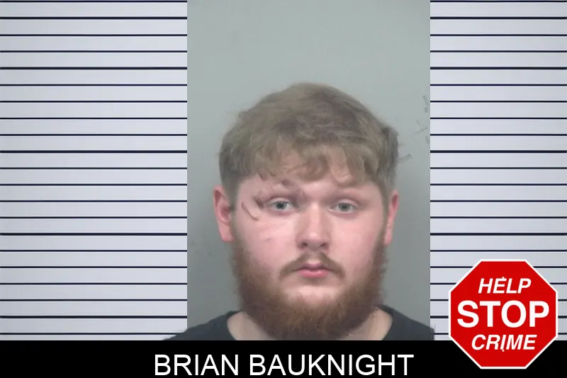 Brian Bauknight mugshot – Gwinnett County , Georgia Brian Bauknight mugshot