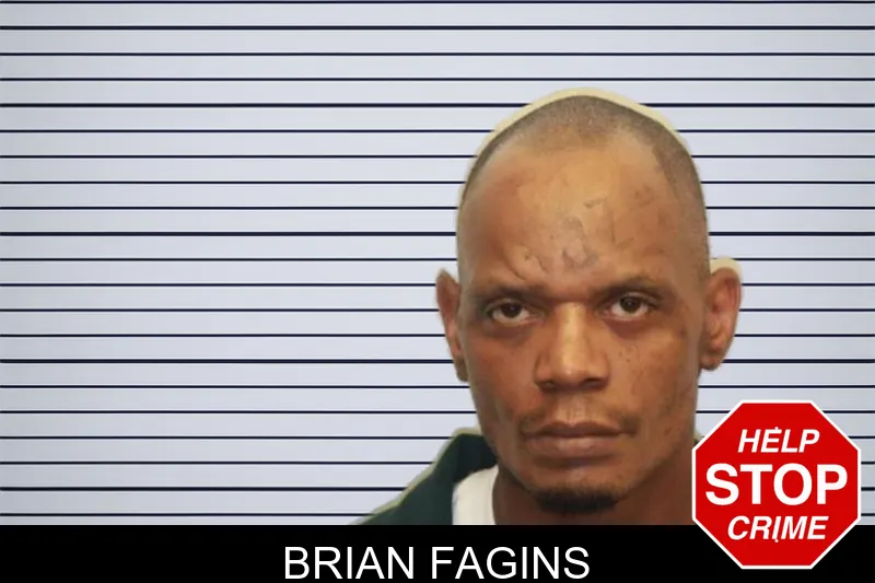 Brian Fagins mugshot – Chatham County , Georgia Brian Fagins mugshot