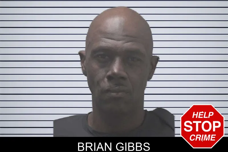 Brian Gibbs mugshot