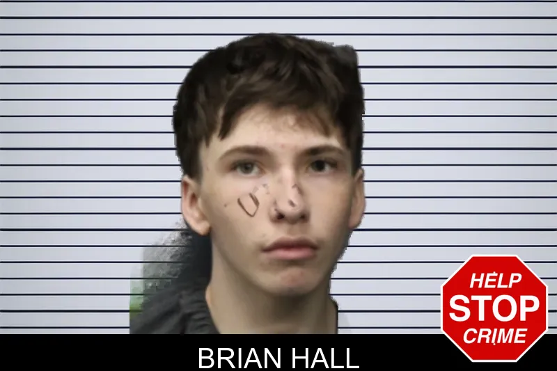 Brian Hall mugshot