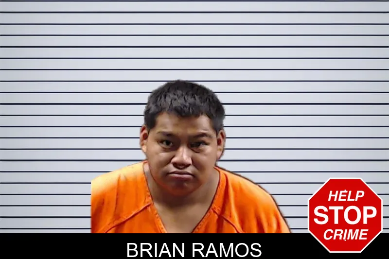 Brian Ramos mugshot