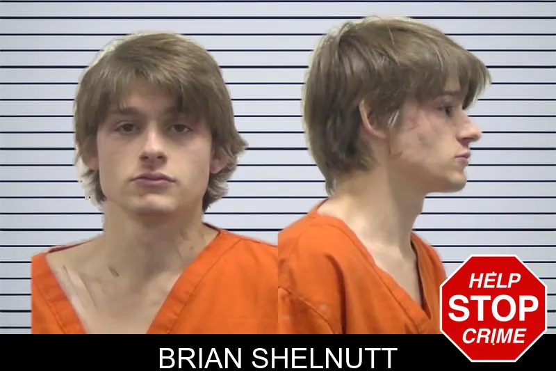 Brian Shelnutt mugshot