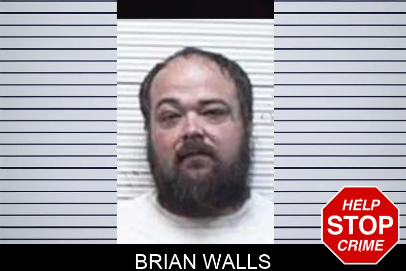 Brian Walls mugshot