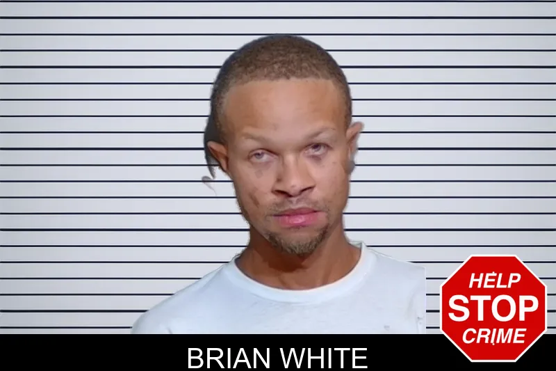 Brian White mugshot – Glynn County , Georgia Brian White mugshot