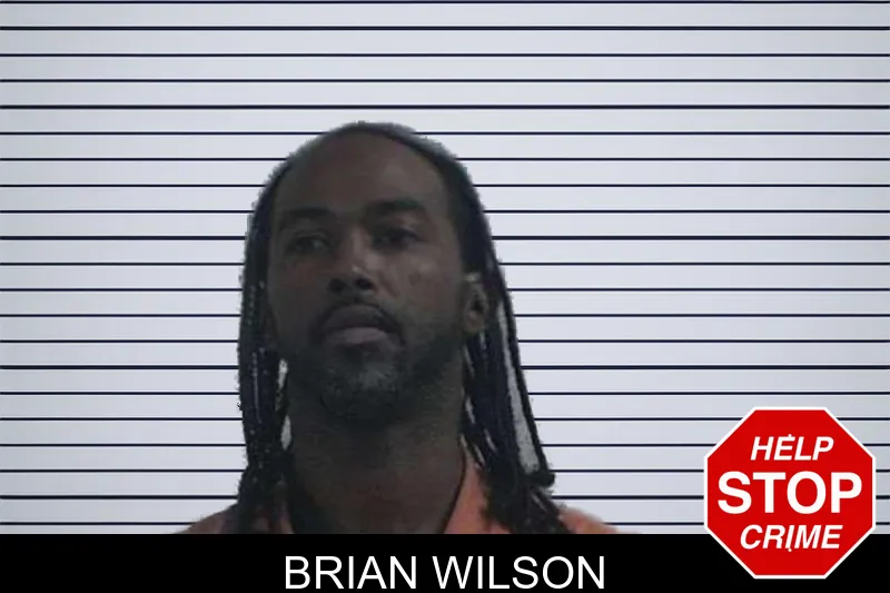 Brian Wilson mugshot