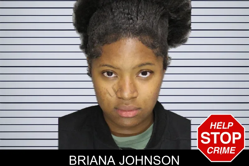Briana Johnson mugshot