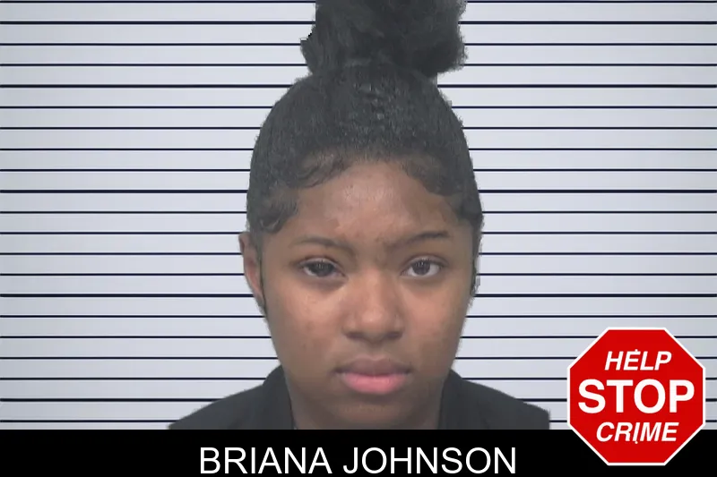 Briana Johnson mugshot