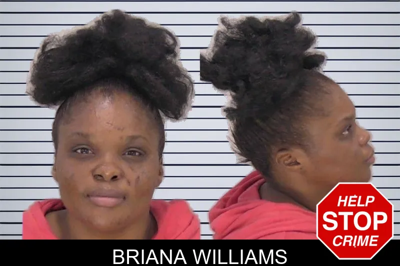 Briana Williams mugshot