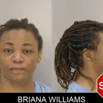Briana Williams mugshot
