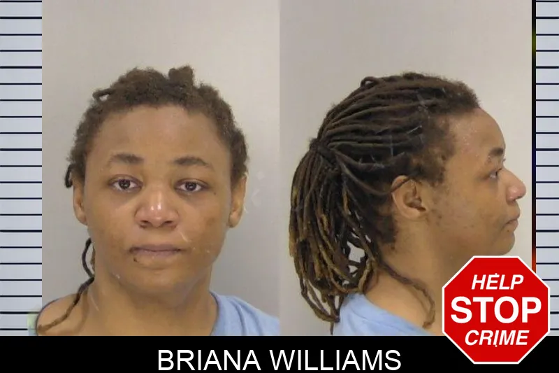 Briana Williams mugshot
