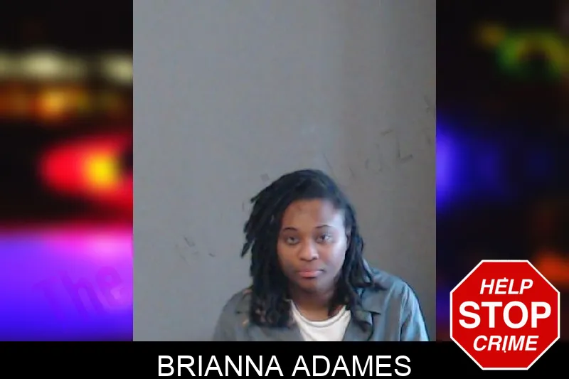 Brianna Adames mugshot