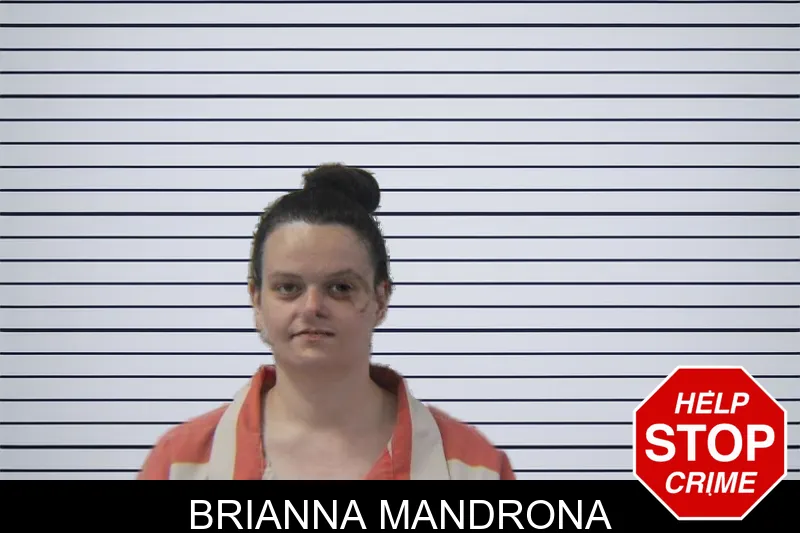 Brianna Mandrona mugshot – Stephens County , Georgia Brianna Mandrona mugshot