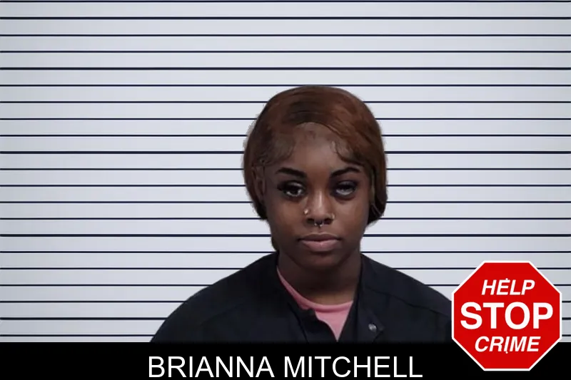 Brianna Mitchell mugshot