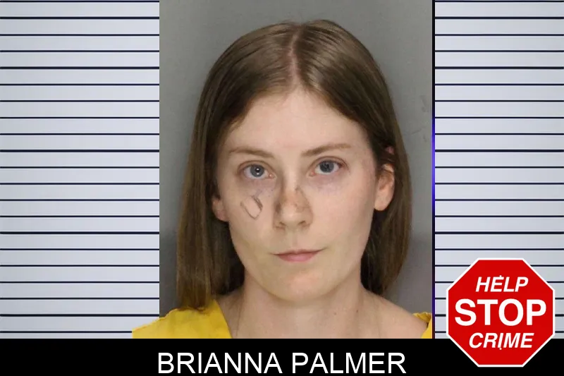 Brianna Palmer mugshot