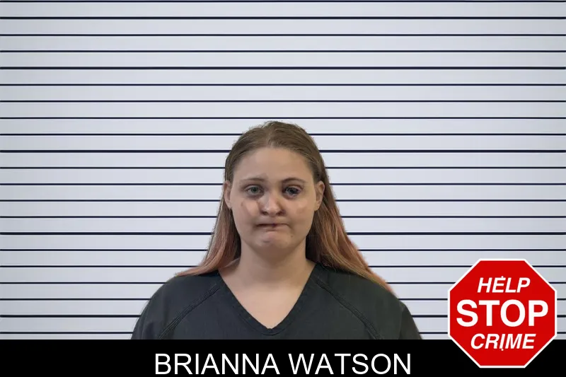 Brianna Watson mugshot