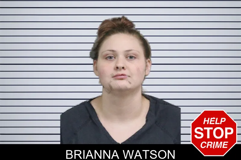 Brianna Watson mugshot