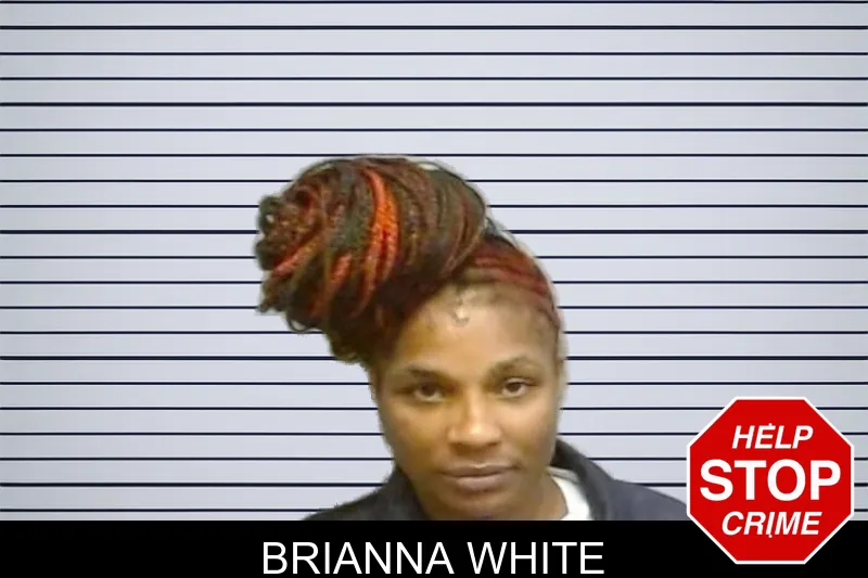 Brianna White mugshot