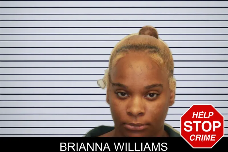 Brianna Williams mugshot – Chatham County , Georgia Brianna Williams mugshot