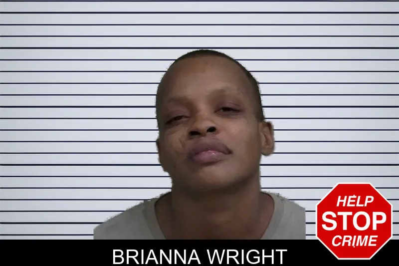Brianna Wright mugshot – Wayne County , Georgia Brianna Wright mugshot