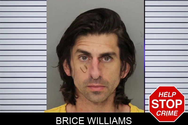 Brice Williams mugshot