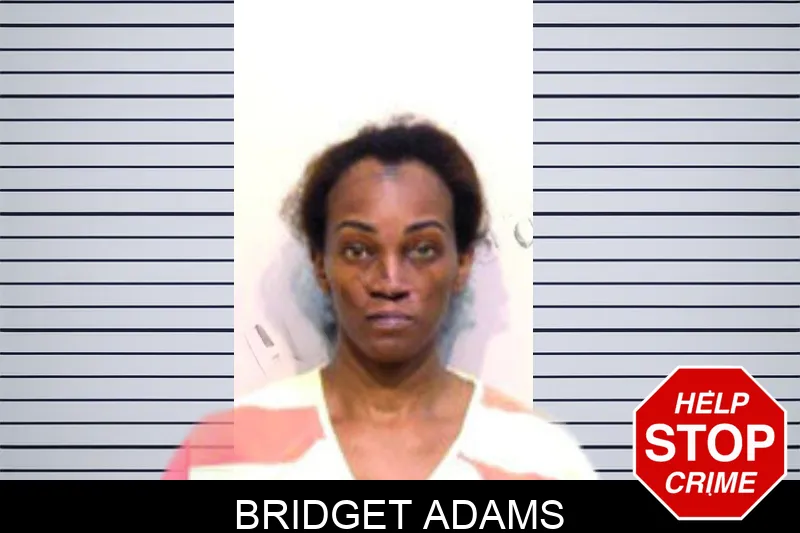 Bridget Adams mugshot – Bartow County , Georgia Bridget Adams mugshot