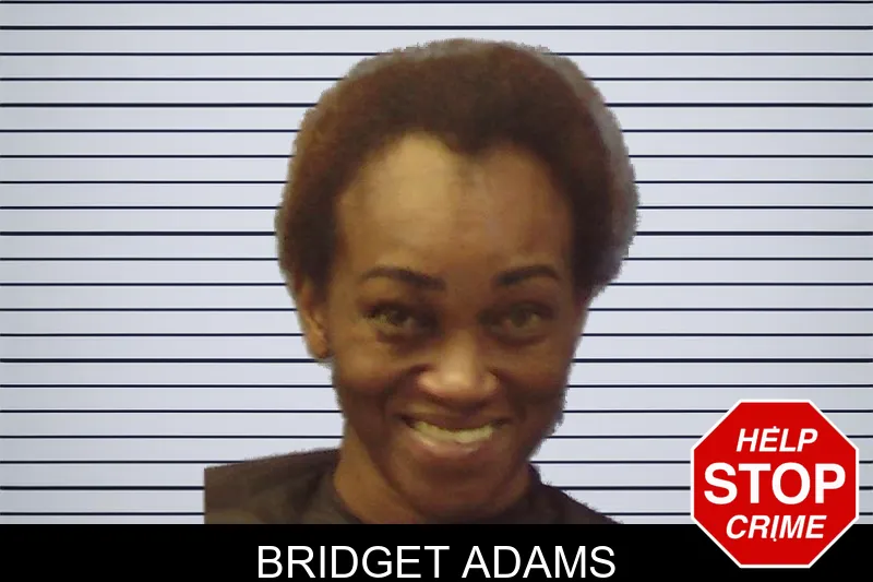 Bridget Adams mugshot