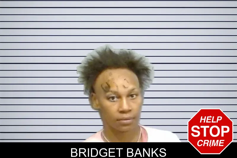 Bridget Banks mugshot