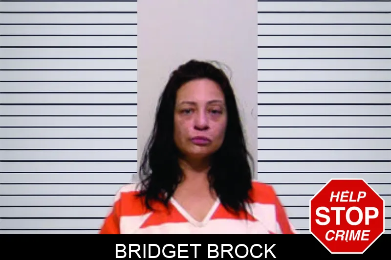Bridget Brock mugshot
