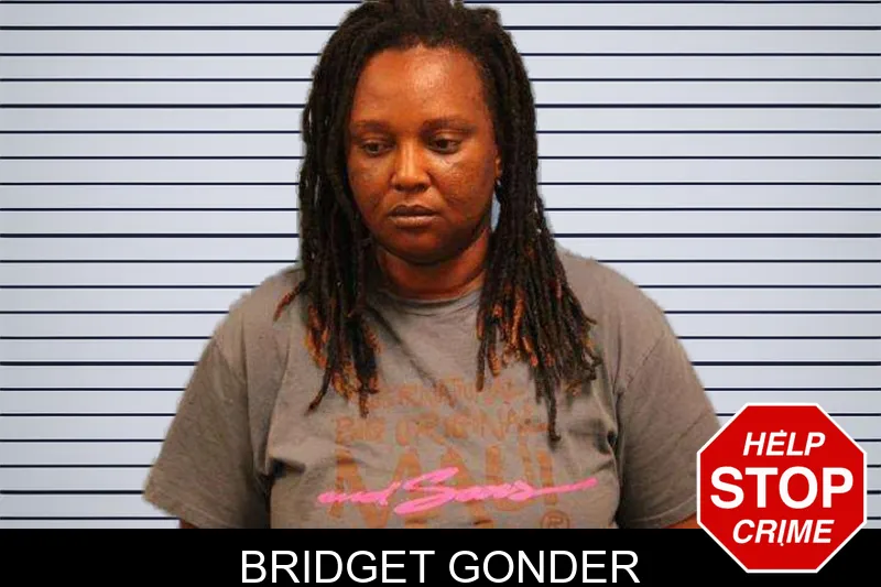 Bridget Gonder mugshot – Monroe County , Georgia Bridget Gonder mugshot