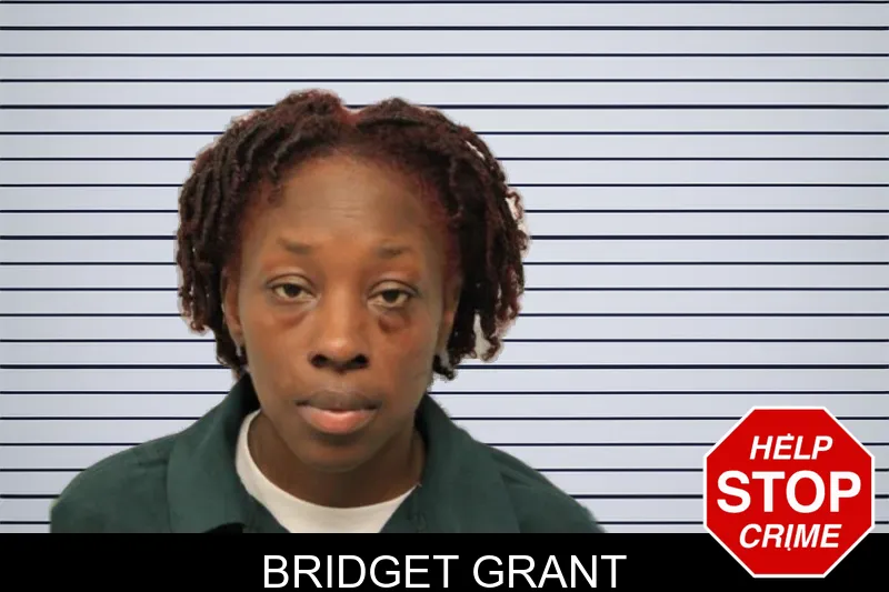 Bridget Grant mugshot