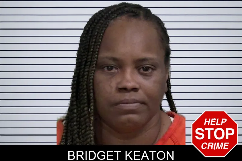 Bridget Keaton mugshot – Wayne County , Georgia Bridget Keaton mugshot