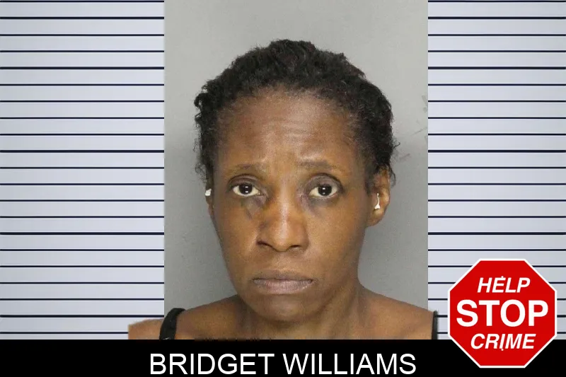 Bridget Williams mugshot