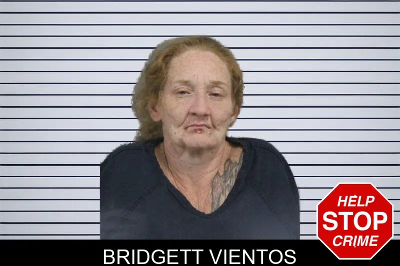 Bridgett Vientos mugshot