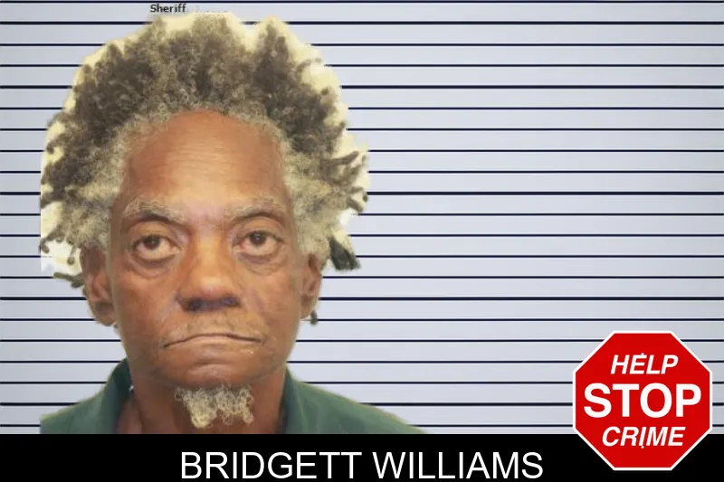 Bridgett Williams mugshot – Chatham County , Georgia Bridgett Williams mugshot