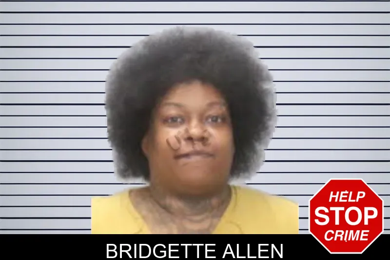 Bridgette Allen mugshot