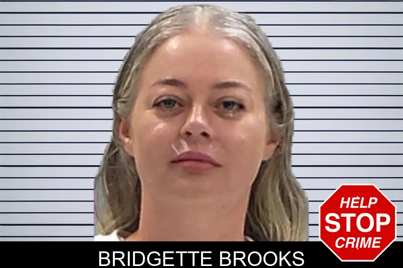Bridgette Brooks mugshot