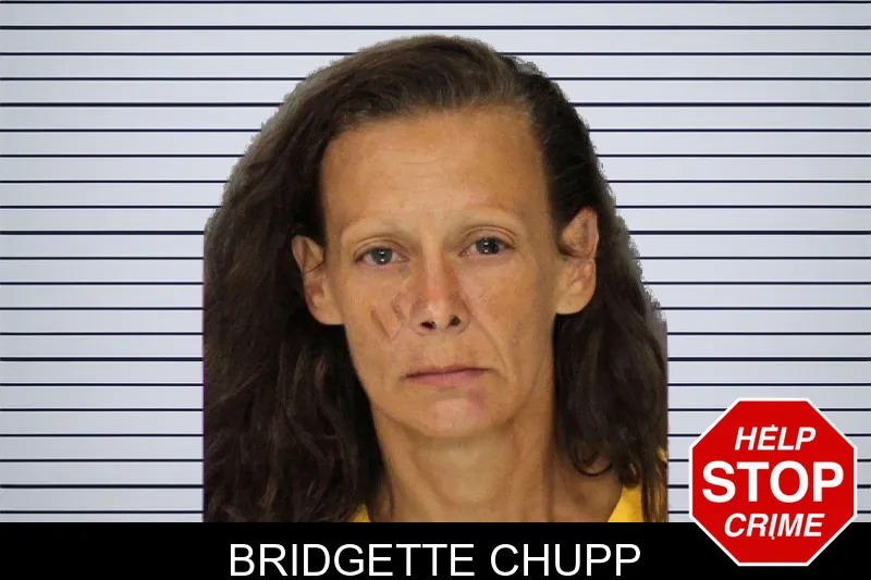 Bridgette Chupp mugshot