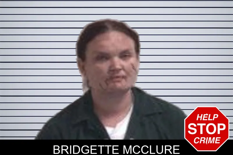 Bridgette McClure mugshot