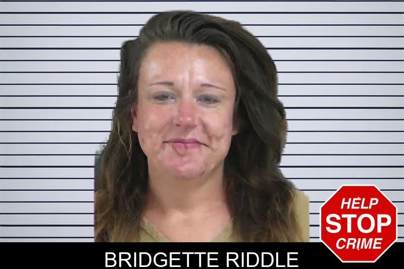 Bridgette Riddle mugshot – Gordon County , Georgia Bridgette Riddle mugshot