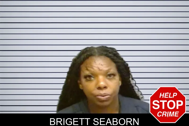 Brigett Seaborn mugshot