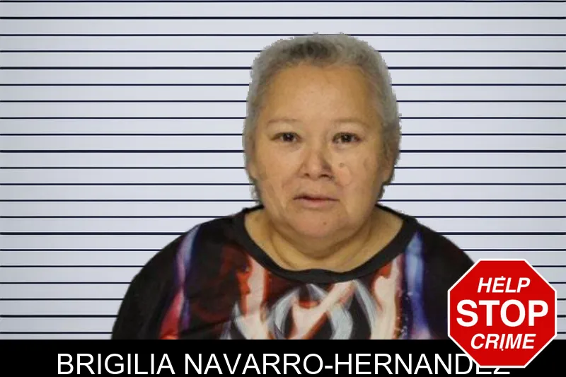 Brigilia Navarro-Hernandez mugshot