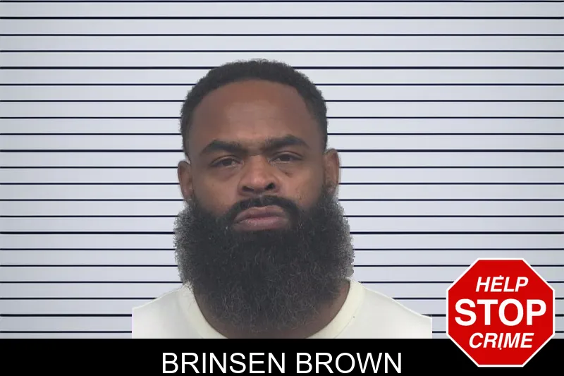 Brinsen Brown mugshot