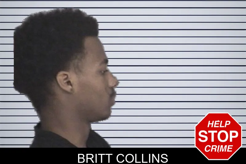Britt Collins mugshot – Barrow County , Georgia Britt Collins mugshot