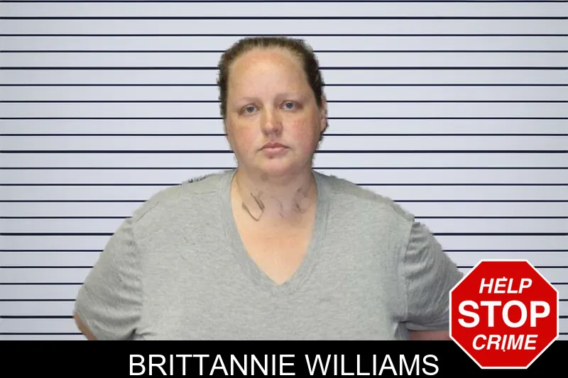 Brittannie Williams mugshot